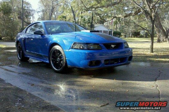 Blue Ford Mustang with black racing stripes and hood scoop parked on wet pavement