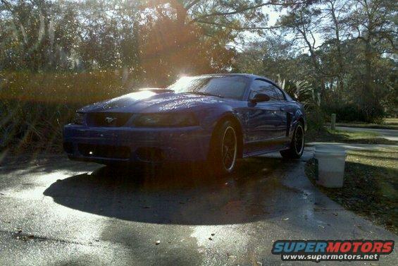 Blue Ford Mustang parked outside, wet from washing. Hood scoop visible