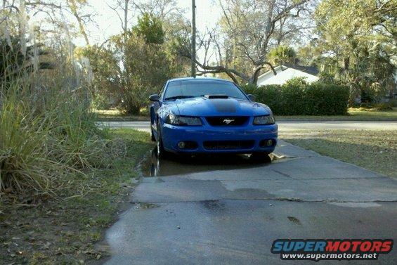 Blue Ford Mustang parked on a wet driveway, front view