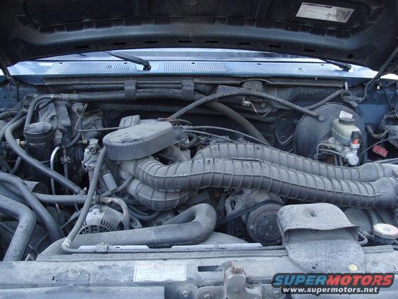 Engine bay with hoses, belts, and engine components visible