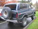 1979 Ford Bronco - Rear view of a dark blue 1978 Ford Bronco parked on a wet surface with trees in the background.