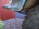 1978 Ford Bronco photo