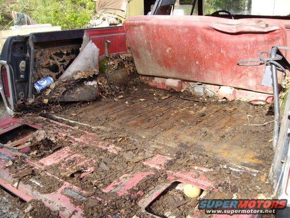 b3.jpg After removing 3" moss on top of 4" mud, that was under about 1" of spruce needles.