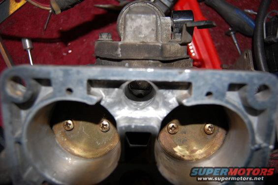 Throttle body with two brass screws visible inside the intake ports
