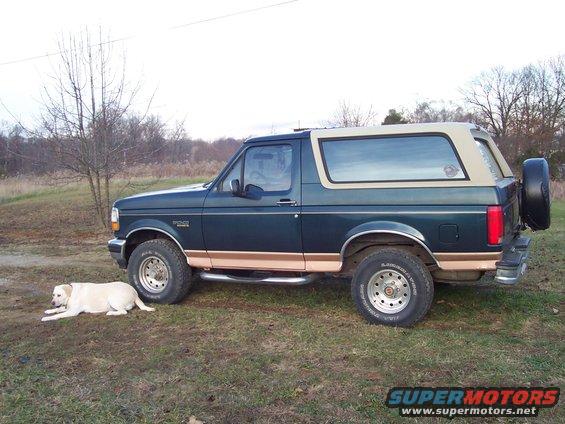 Dark green Ford Bronco with tan trim and a tan removable top, parked on grass with a yellow lab lying nearby