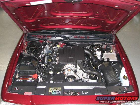 Red 2005 Ford Crown Victoria engine bay with hood open, showing V8 engine and various components