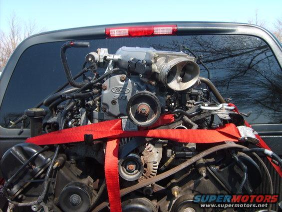 Ford engine with red straps, visible Ford logo