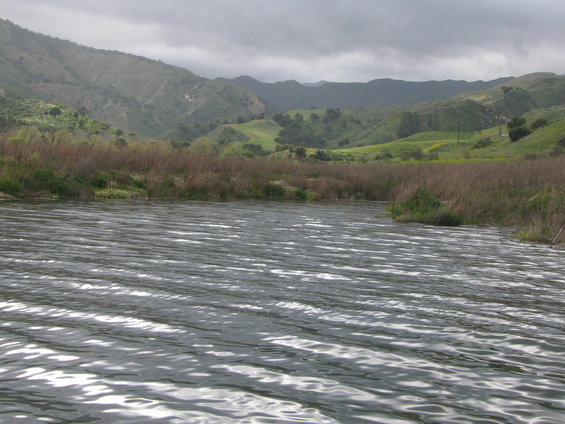 Water ripples with hills and reeds in background