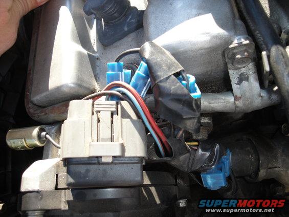 Pic of my non soldered wires to Mega Squirt...