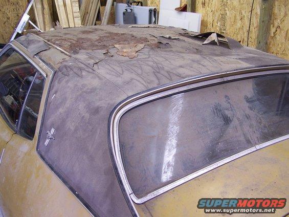 A shot of the backlite and roof damage.  We are lucky that all the vinyl roof trim is intact and in great shape!