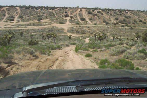 Desert landscape with tire tracks on hills and Joshua trees, viewed from inside a vehicle