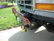 1995 Ford Bronco photo