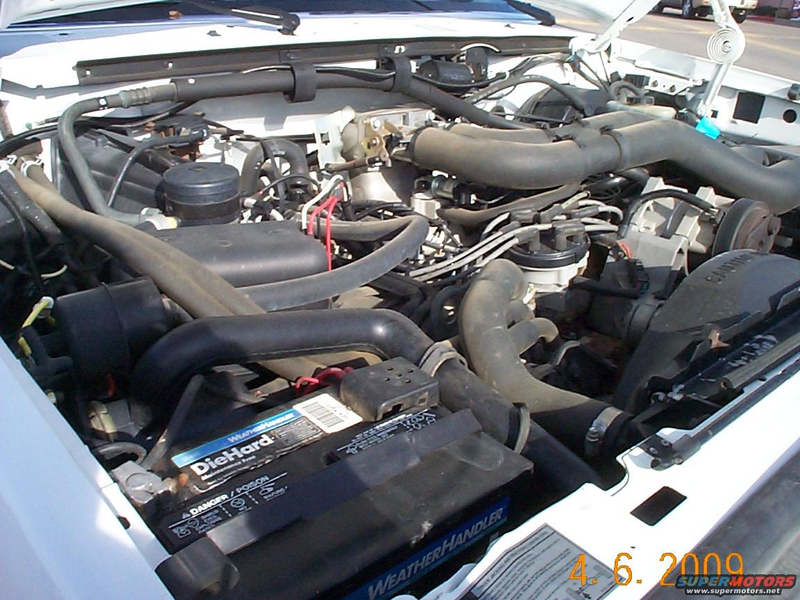 1995 Ford F-250 photo