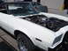1973 Ford Ranchero - White 1973 Ford Ranchero shows its engine bay, with a black roof and another vehicle visible in the background.
