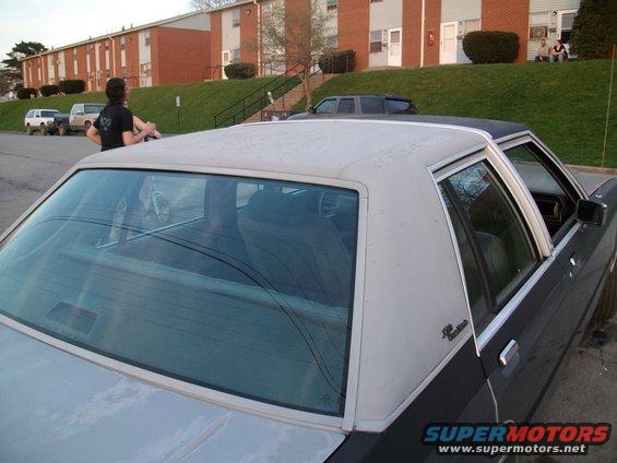 picture-003.jpg just painted my roof