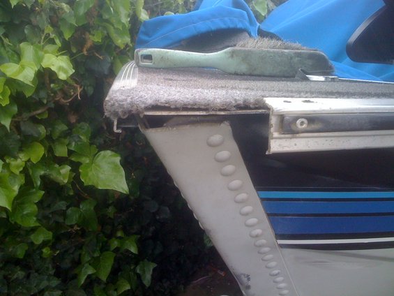 Close-up of a boat hull section with a brush on top, next to ivy