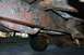 1979 Ford Bronco - Underside view of a heavily rusted vehicle frame, showing exhaust pipes and suspension parts.