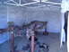 1984 Ford Bronco - Used a gazebo in my shed as a sandblasting/painting booth. Wont use it to paint the body as to much dust floating around from blasting but…