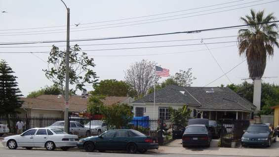 Street view with several parked cars, houses, an American flag, and a palm tree