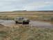 1989 Ford Bronco - A 1989 Ford Bronco navigates a shallow body of water in a dry, hilly landscape under a cloudy sky.