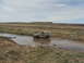 1989 Ford Bronco - A green 1989 Ford Bronco navigates a shallow water crossing in a vast, arid landscape under a cloudy sky.