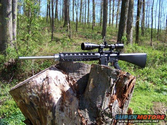Rifle with scope on tree stump in woods