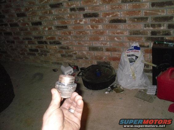 sdc17694.jpg