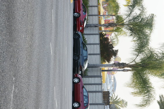 Several cars parked in a row next to a fence with palm trees and a water slide in the background