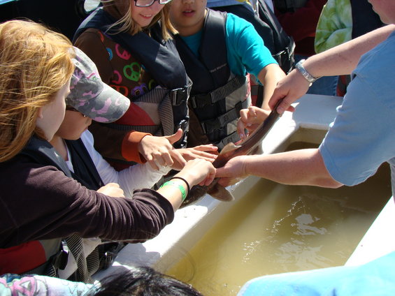 Group of people, some wearing life vests, examining a small shark being held over a tub of water