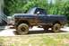 1979 Ford F-150