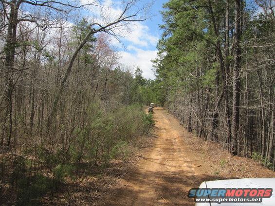 Two ATVs on a dirt road in a forest, with a Supermotors logo in the corner
