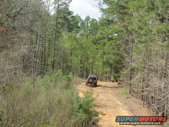 SUV on dirt road in forest; another vehicle visible in distance