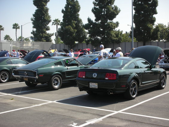 Rear view of a dark green 2004 Ford Mustang with a license plate reading 6EYY514