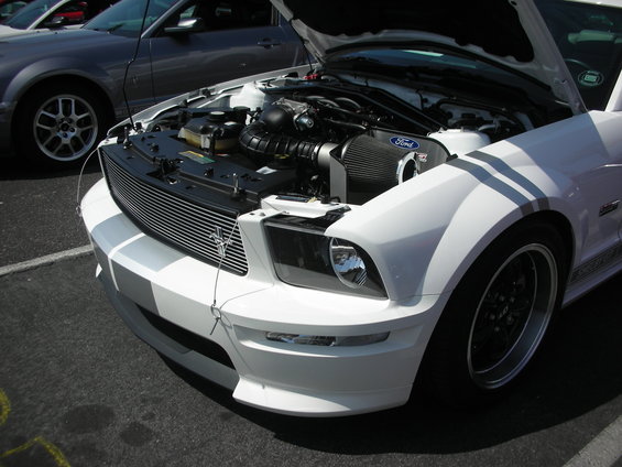 dscn5328.jpg 
