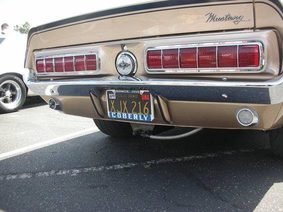 dscn5338.jpg 