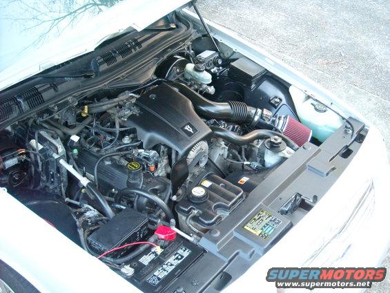 Engine bay of a 2003 Ford Crown Victoria with aftermarket air intake