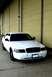 1998 Ford Crown Victoria - A white 1998 Ford Crown Victoria is shown from the front 3/4 angle, parked outdoors.