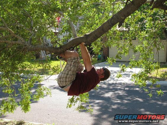 Man in plaid shorts and maroon shirt hanging upside down from a tree branch, with a suburban street and garage in the background