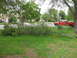 1983 Ford 427 - A red pickup truck is visible behind a fallen tree in a residential yard.