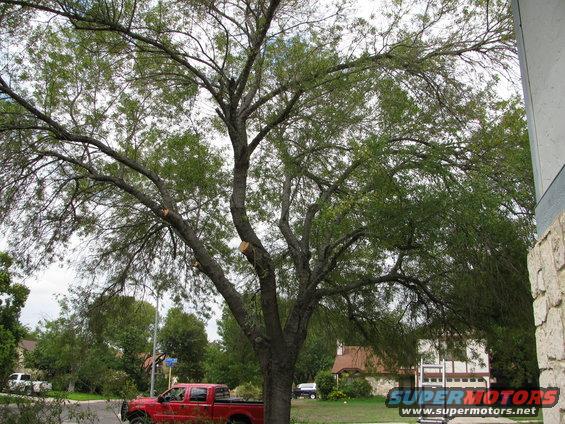 Red pickup truck parked on street, white SUV in background