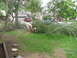 1983 Ford 427 - A red SUV is visible in the driveway while a person works to clear fallen tree branches from the yard.