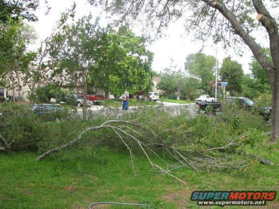 Fallen tree branches block a residential street with several vehicles parked nearby