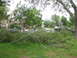 1983 Ford 427 - Fallen tree branches lie across a street, with several cars and trucks visible in the background.