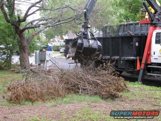 Grapple truck loading tree debris into a dump truck