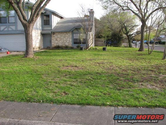 House with stone accents and a large tree in the front yard