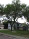 1983 Ford 427 - A suburban house is partially obscured by a large tree in the front yard.