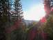 1994 Ford Bronco - A bright sun illuminates a mountain landscape surrounded by dense pine forests.
