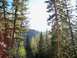 1994 Ford Bronco - A scenic view of a forest with mountains and tall trees under a bright sky.