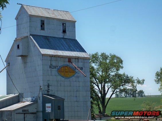 old grain elevator with 'MONTANA ELEVATOR' logo, green fields, and trees under a blue sky