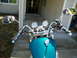 1992 Yamaha Virago - Close-up view of a teal motorcycle's handlebars and fuel tank, showing chrome accents and dual gauges.